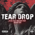 TEAR DROP (Dark Trap//Melodic Pain Loop Kit)